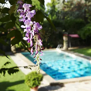 Park Palace Otel Floransa